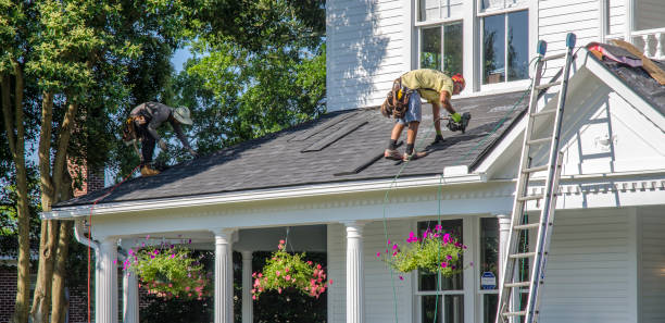 Best Roof Leak Repair  in Marquette Heights, IL